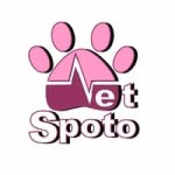 31e5949d-ac43-4e05-8d76-d10dac0d0a76_1x